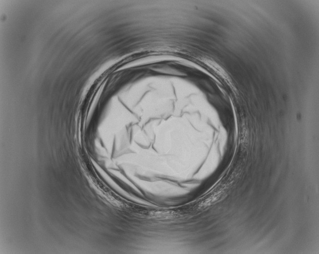 X0000062651128200601181803