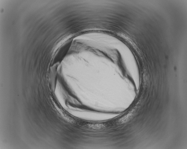 X0000062651129200601181803