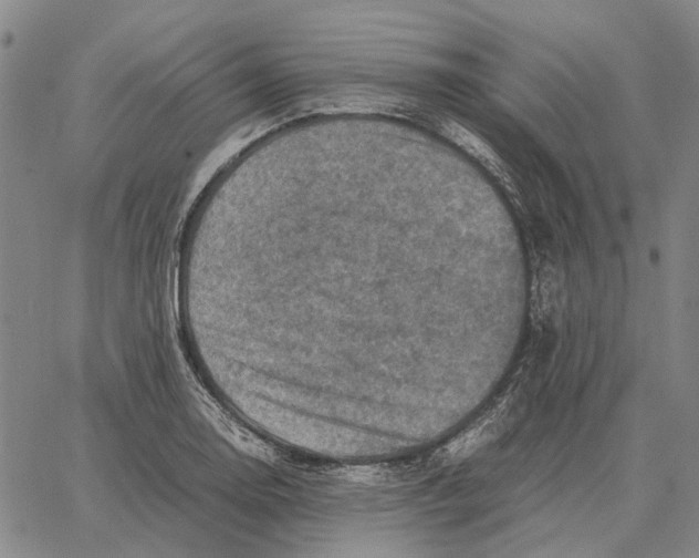 X0000062651130200601181803