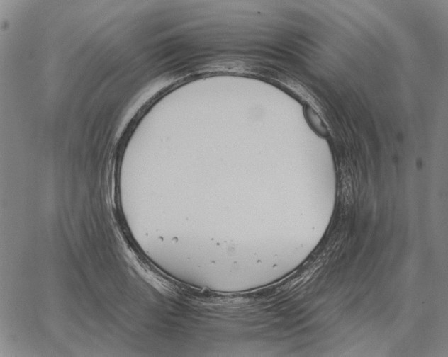 X0000062651131200601181803