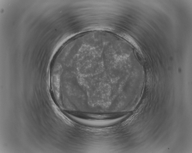 X0000062651132200601181803