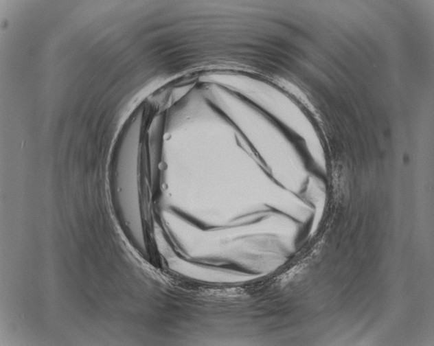 X0000062651133200601181803