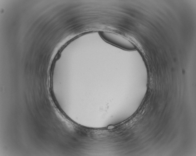 X0000062651136200601181803