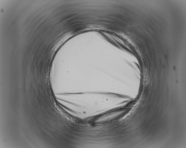 X0000062651137200601181803