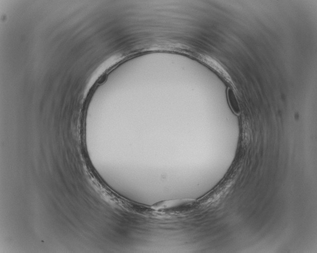 X0000062651138200601181803