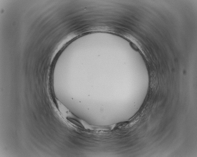 X0000062651139200601181803