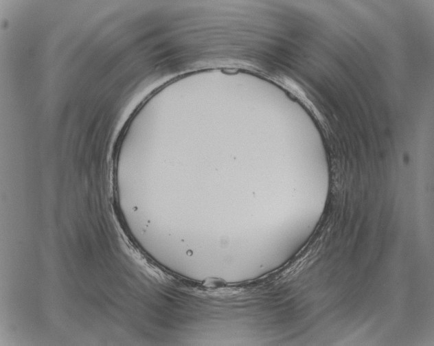 X0000062651140200601181803