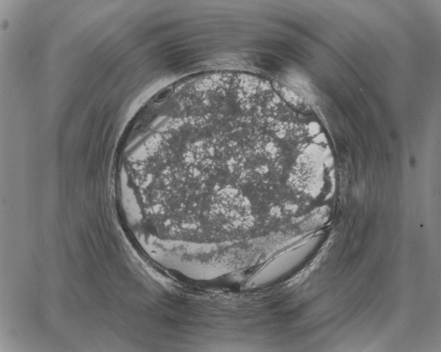 X0000062651141200601181803