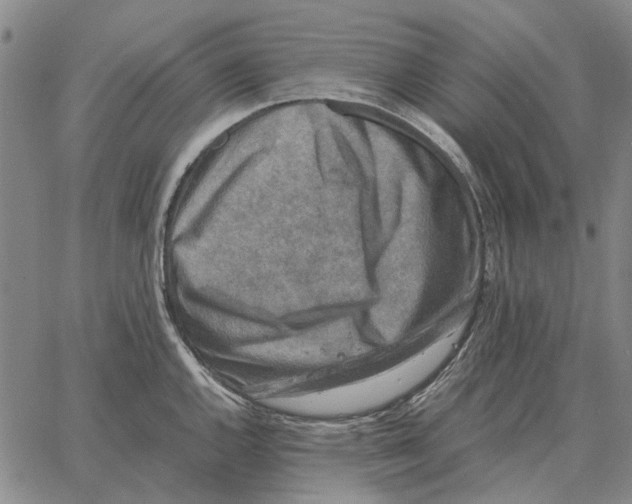 X0000062651144200601181803