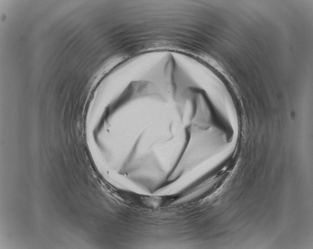 X0000062651145200601181803