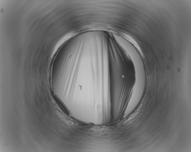 X0000062651146200601181803