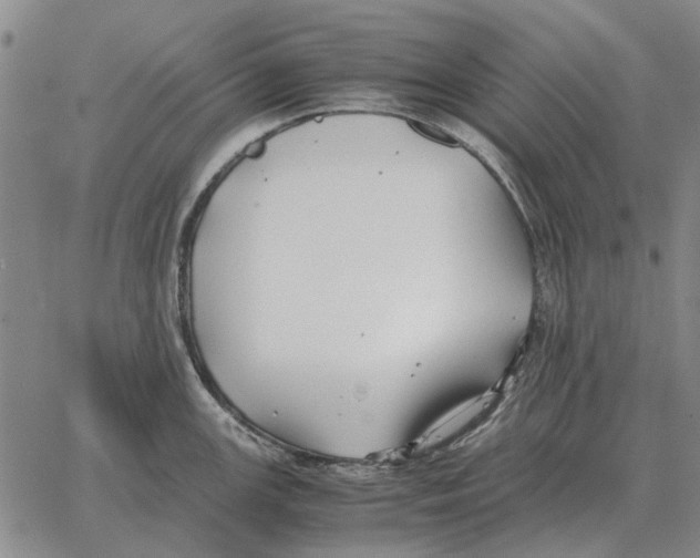 X0000062651147200601181803