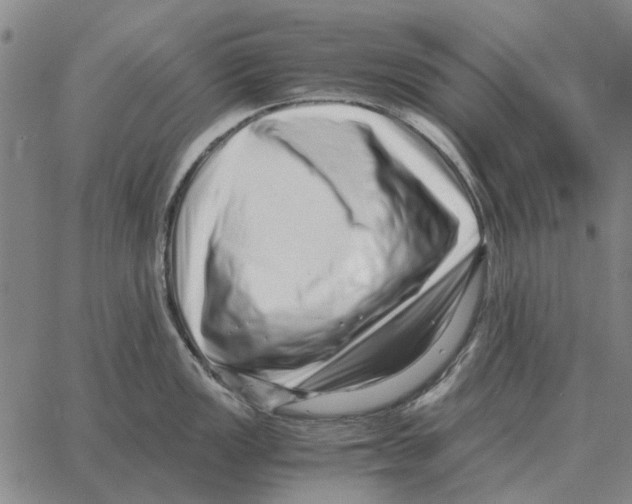 X0000062651149200601181803