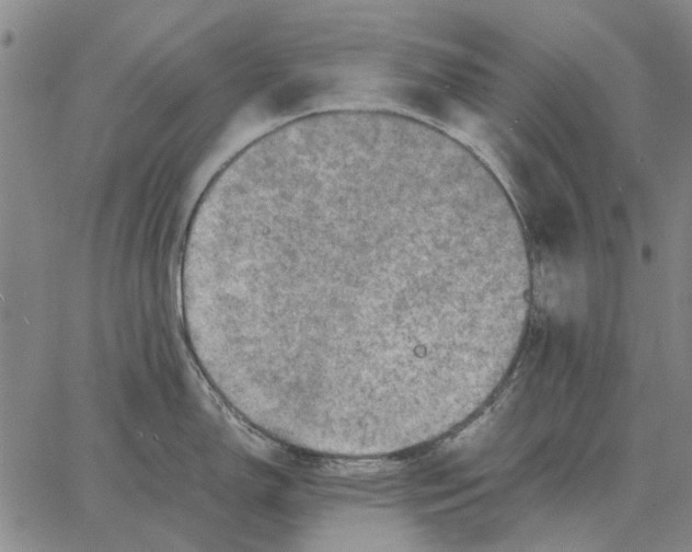 X0000062651150200601181803