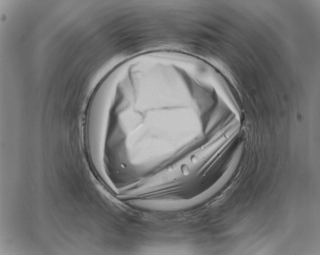 X0000062651151200601181803