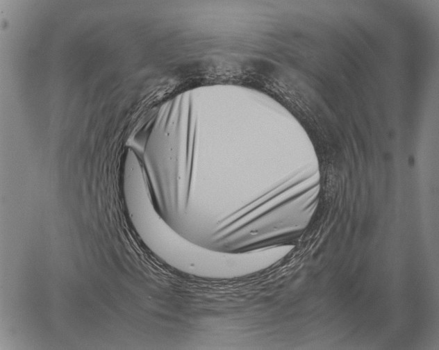 X0000062651153200601181803