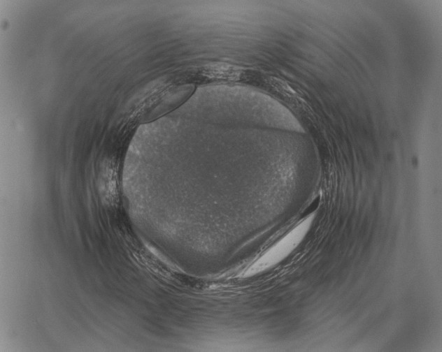 X0000062651154200601181803