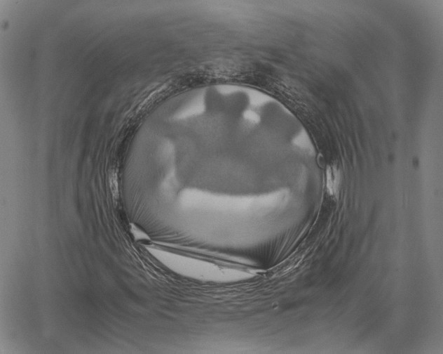 X0000062651155200601181803