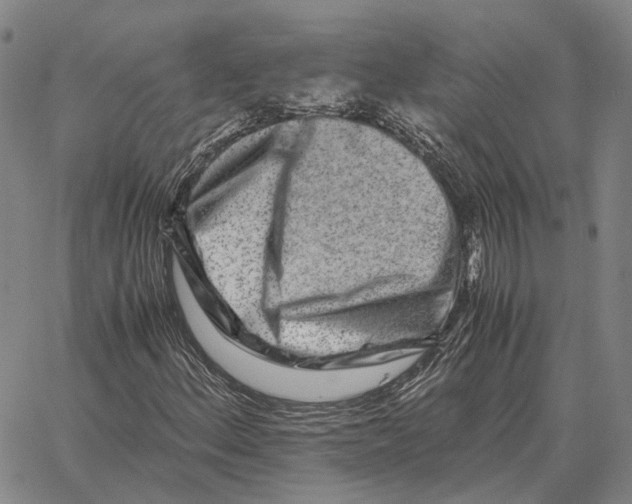 X0000062651156200601181803