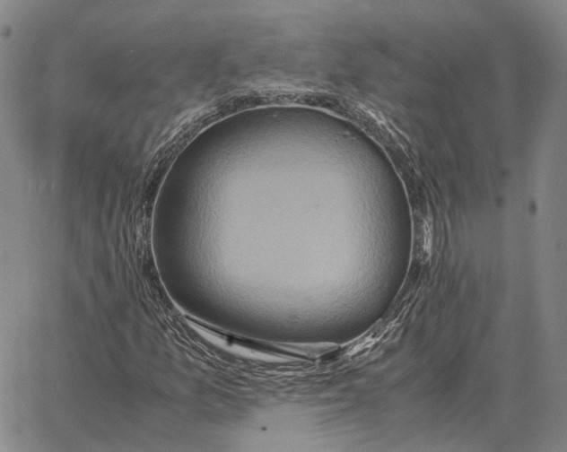 X0000062651157200601181802