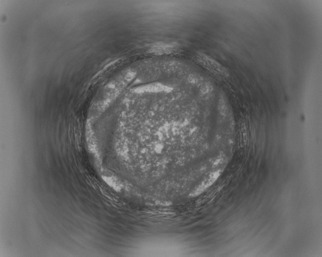 X0000062651158200601181802