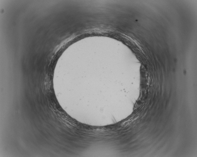 X0000062651160200601181802