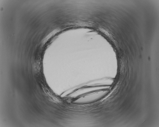 X0000062651163200601181802