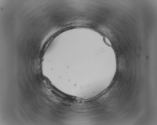 X0000062651164200601181802