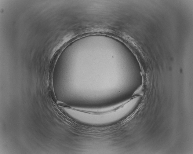 X0000062651165200601181802