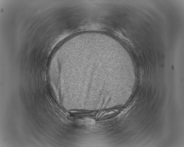 X0000062651166200601181802