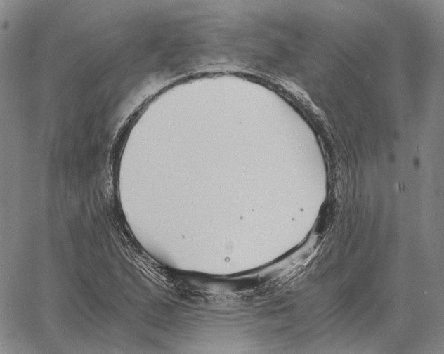 X0000062651167200601181802