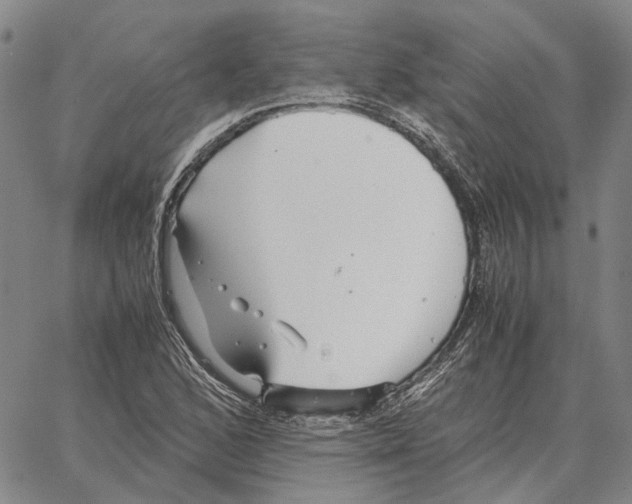 X0000062651168200601181802