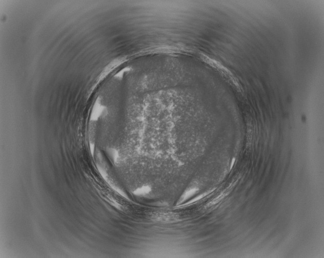 X0000062651170200601181802