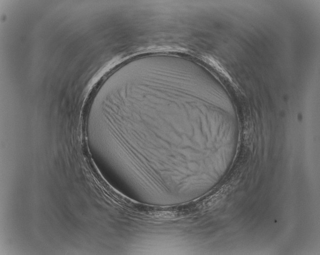 X0000062651173200601181802