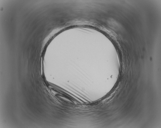 X0000062651175200601181802