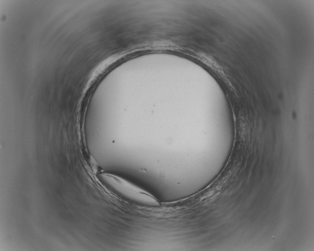 X0000062651176200601181802