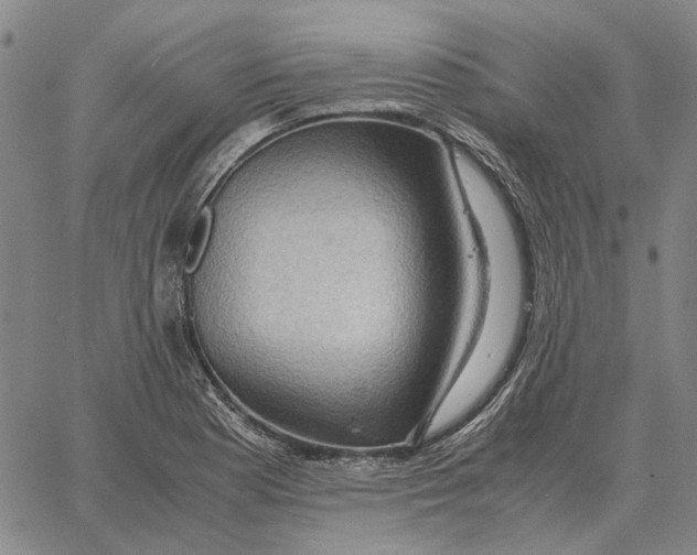 X0000062651177200601181802