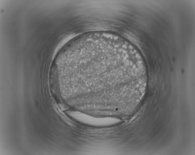 X0000062651179200601181802