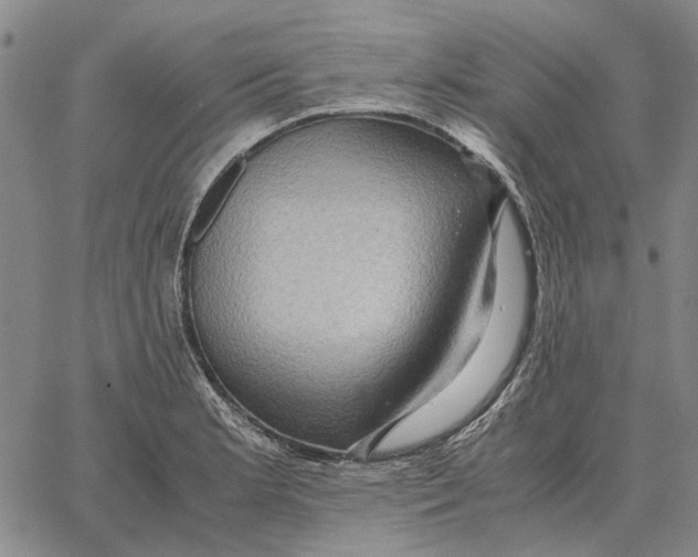 X0000062651181200601181802