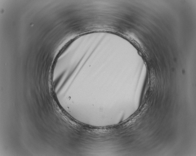 X0000062651182200601181802