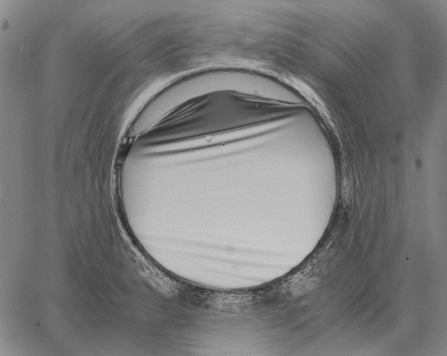 X0000062651183200601181802