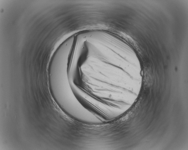 X0000062651184200601181802