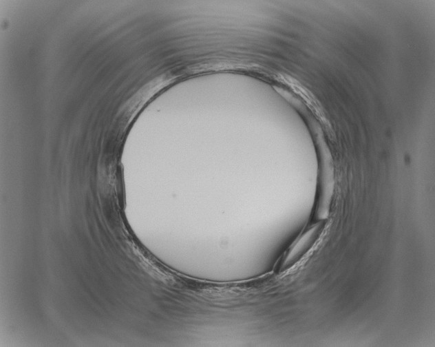 X0000062651185200601181802