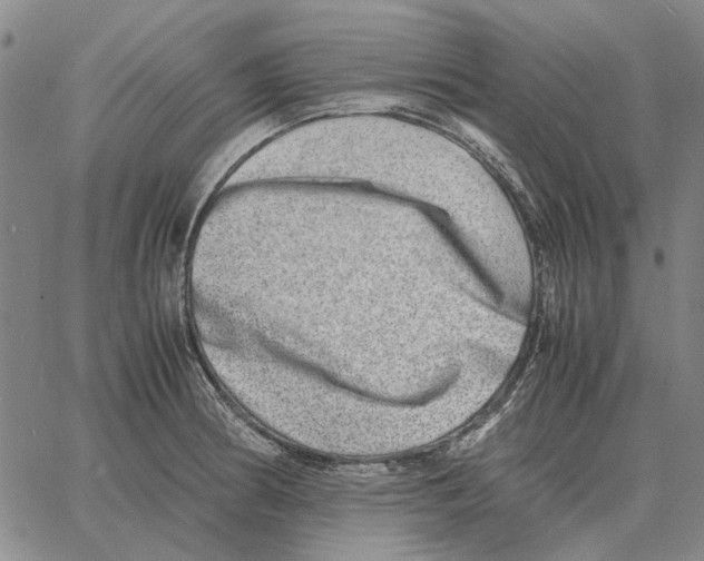 X0000062651186200601181802