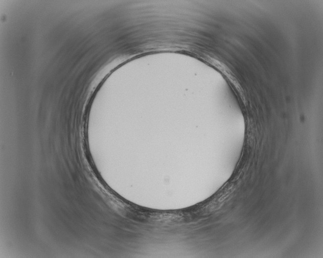 X0000062651187200601181802