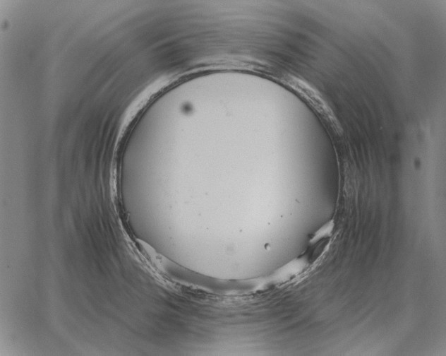 X0000062651188200601181802