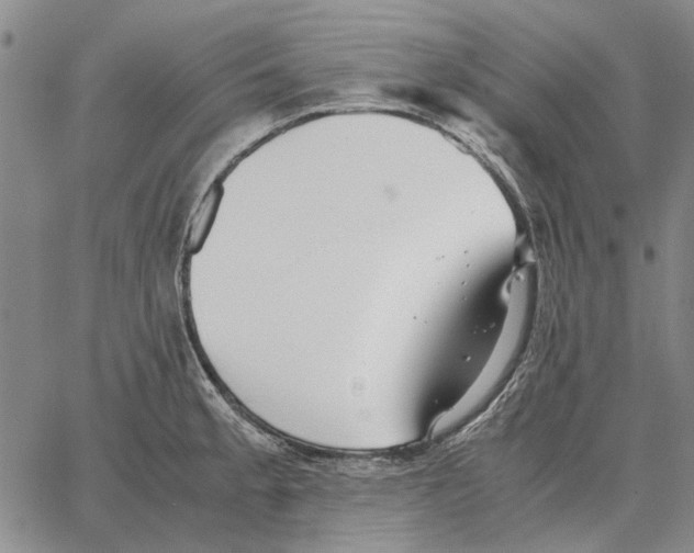 X0000062651189200601181802