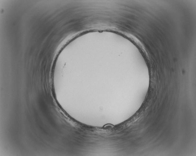 X0000062651191200601181802