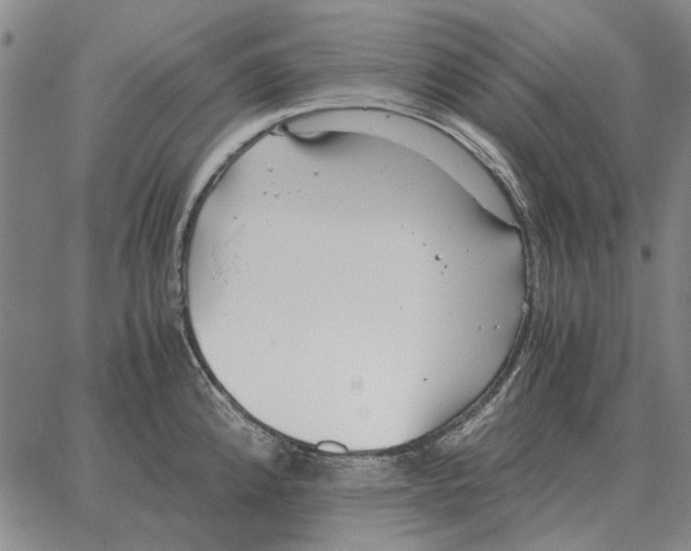 X0000062651192200601181802