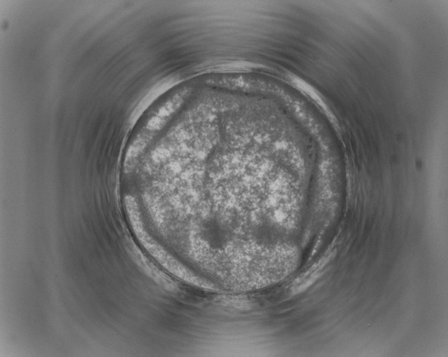 X0000062651194200601181802